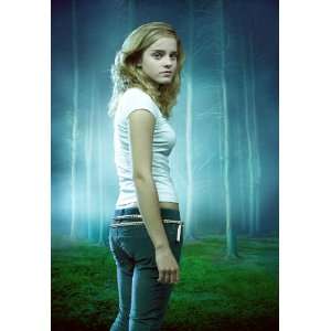  Emma Watson HD 11x17 Hot Actress #10 HDQ: Everything Else