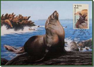 cc372 USA wildlife 1987 maximum card sea lion Fleetwood  