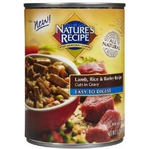  Natures Recipe Cuts in Gravy   Lamb, Rice & Barley   12 x 