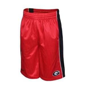 Georgia Bulldogs Youth Layup Basketball Shorts:  Sports 