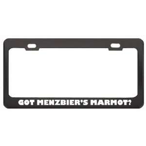 Got MenzbierS Marmot? Animals Pets Black Metal License Plate Frame 