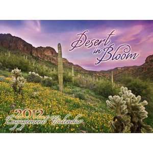  Desert in Bloom 2012 Wall Calendar: Office Products