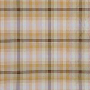  Ascot Check 170 by G P & J Baker Fabric