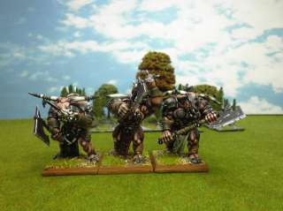 Warhammer DPS painted Beastmen Minotaurs BC022  