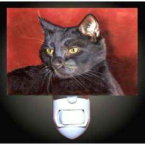    Domestic Black Cat Decorative Night Light: Home Improvement