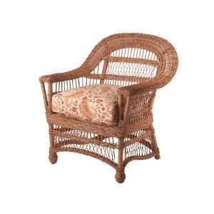   , All Weather Outdoor Wicker Cushion Dining Chair: Home & Kitchen