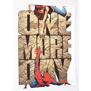 Amazing Spider man & Wife Mary Jane One More Day 13 x 10 Marvel Comic 