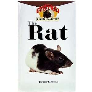  The Rat, A Happy Healthy Pet