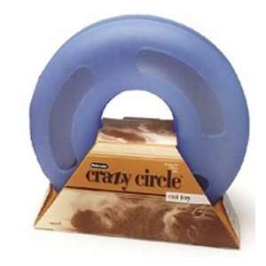  Petmate/Booda Crazy Circle Cat Toy   Small 9.5 Inch