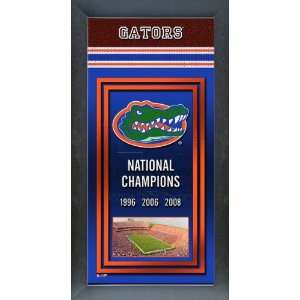  Florida Gators Framed Team Championship Banner Series 