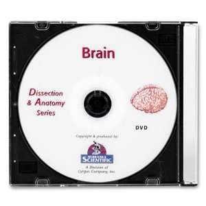   and Anatomy of the Brain DVD  Industrial & Scientific