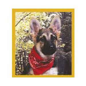  Magnetic Bookmark German Shepherd Pup w/Bandana Kitchen 