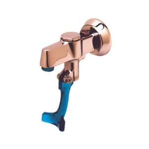  T&S Brass B 1205 M Faucet: Kitchen & Dining