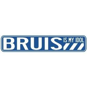   BRUIS IS MY IDOL STREET SIGN