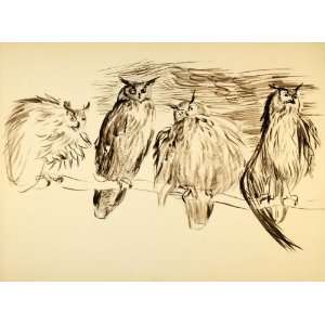  1944 Print Ernst Denzler Owls Wildlife Watercolor Art 
