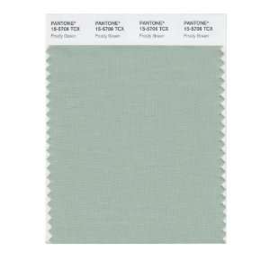  PANTONE SMART 15 5706X Color Swatch Card, Frosty Green 
