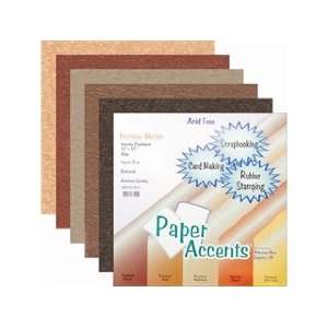  Paper Accents Cardstock Variety Pack 12x12 Precious Metals 