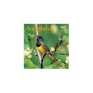  Songbirds 2008 Mini Wall Calendar: Office Products