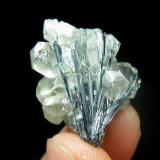 STIBNITE crystal enwraped by CALCITE,mineral C1250  