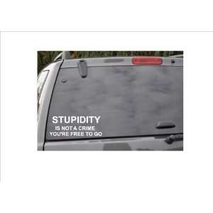  STUPIDITY IS NOT A CRIMEYOURE FREE TO GO  window decal 