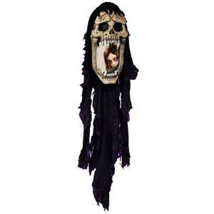  3D Fanged Skull Mirror with Draping Gauze Halloween Prop 
