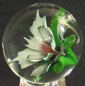 RPC Marbles! XXL Hand Made Glass Marble Sun Seeker  