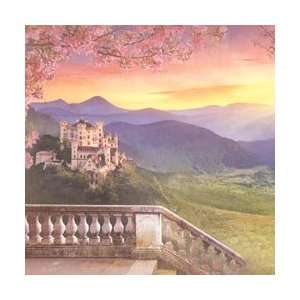   Princess Castle Paper 12X12; 25 Items/Order Arts, Crafts & Sewing
