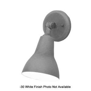   7445 30 Cast Aluminum Bullet Security Light: Home Improvement