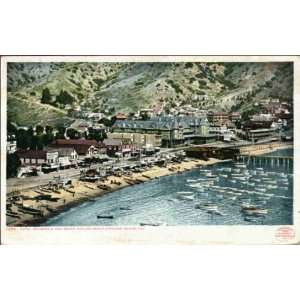 Reprint Santa Catalina Island CA   Hotel Metropole and Beach 1900 1909 