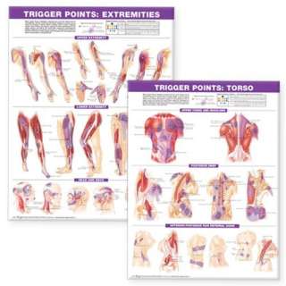 Trigger Point Chart Set: Torso and Extremities: Anatomical Chart 