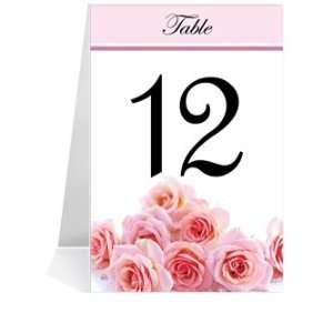   Table Number Cards   Pink Rose Party #1 Thru #32: Office Products