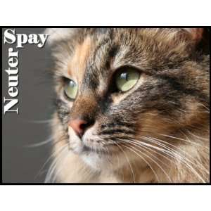  Spay / Neuter Postage Stamps