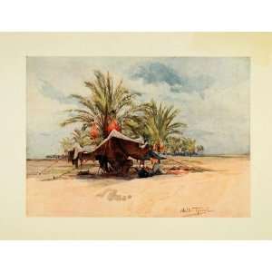   Arabic Egypt Shelter Trees Sand   Original Color Print