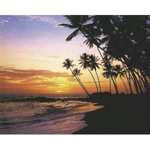   Sunset Beach Scenic Travel Poster 16 x 20 inches