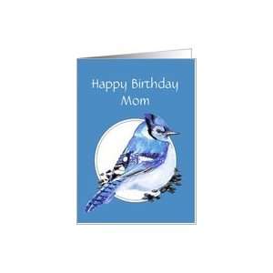  Happy Birthday Mom, Mother Blue Jay, Bird Collection Card 