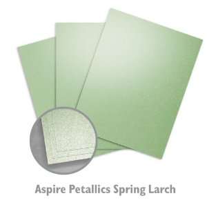  ASPIRE Petallics Spring Larch Paper   200/Package Office 