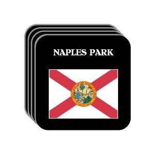 US State Flag   NAPLES PARK, Florida (FL) Set of 4 Mini 