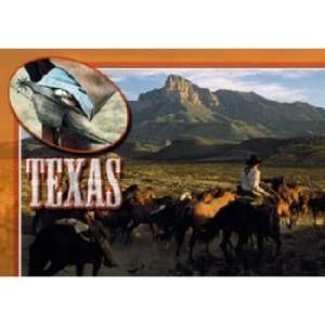  Texas Postcard Tx129 Lone Star State Case Pack 750 