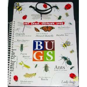   Books COLOR LEARN & TRACE (all about BUGS) Dexas International Books