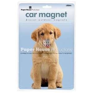  Paper House Productions Golden Retriever Puppy Car Magnet 