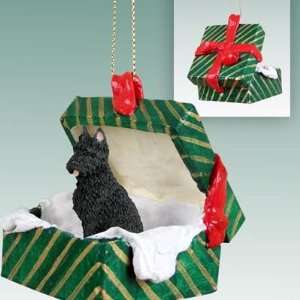  Bouvier Cropped Gift Box