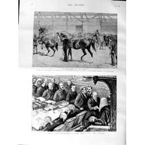   1887 Horses Show Newcastle On Tyne Parliament Speaker