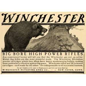  1904 Ad Winchester Big Bore High Power Rifles Bear Hunt 