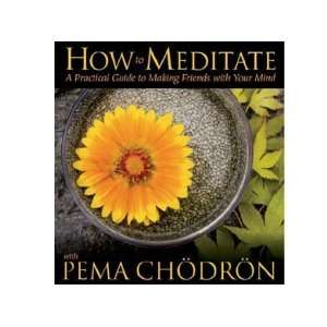  How to Meditate 5 CDs Set   A Practical Guide to Making 