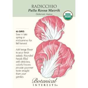  Radicchio Palla Rossa Ashalim Certified Organic Seed 