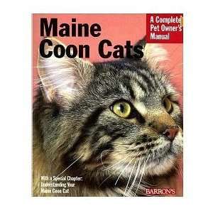  Maine Coon Cats (Quantity of 4)