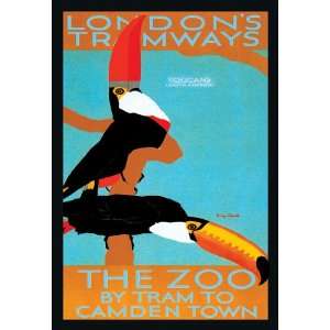  London Zoo South American Toucans 16X24 Giclee Paper 