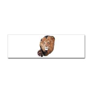  Bumper Sticker Lion Head: Everything Else