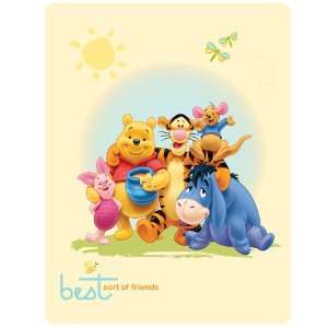 Disney Winnie the Pooh Best Friends Panel Fleece Blanket 
