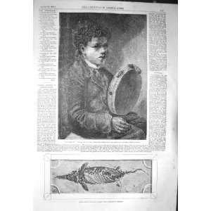   1856 FOSSIL LIAS QUARRIES GLASTONBURY SOMERSET MUSIC